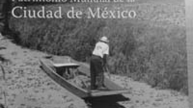 libro.jpg